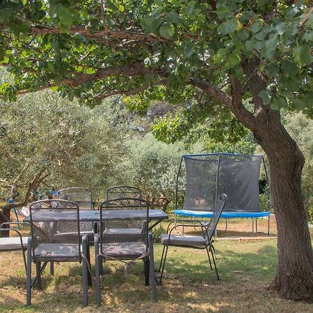 Apartman Olea Póla Kültér fotó